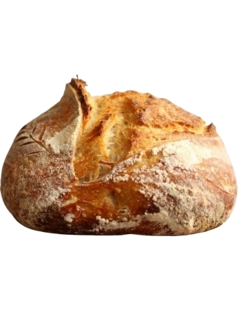 PÃO RUSTICO DE FERMENTAÇÃO NATURAL 450 GR